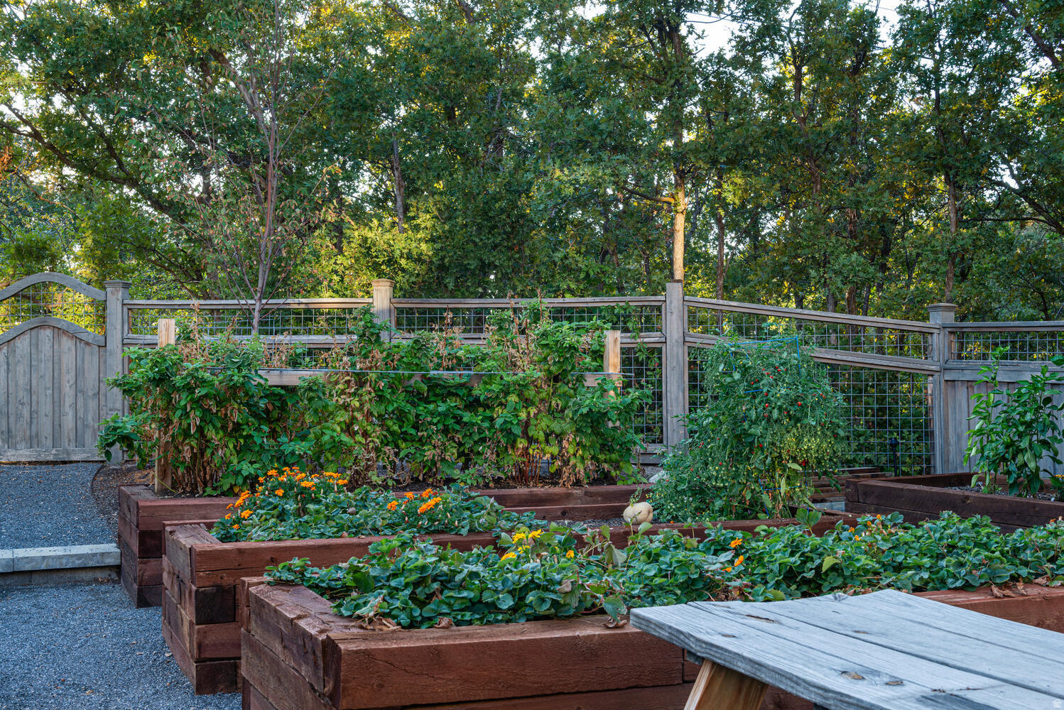 WILLOWCREEK - Residential