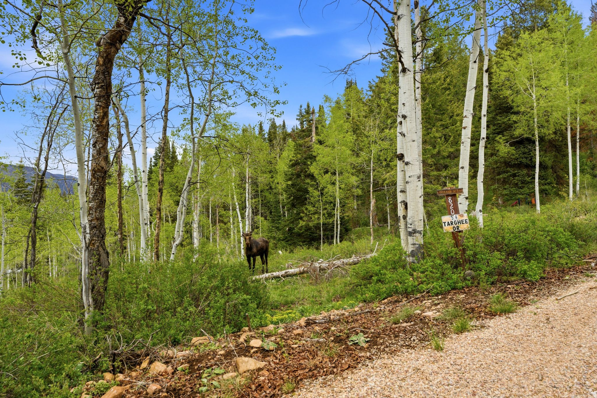 PINE MOUNTAIN #3 SUBDIVISION - Residential