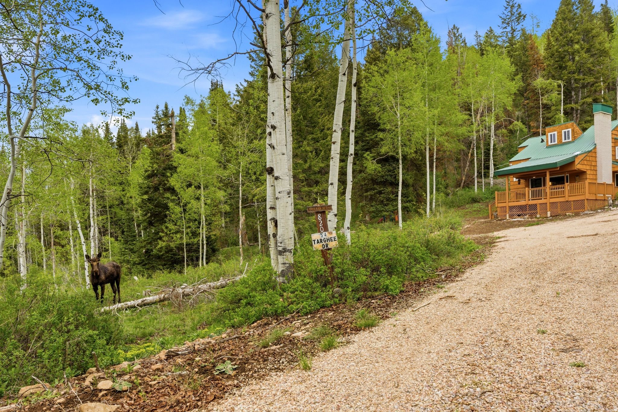 PINE MOUNTAIN #3 SUBDIVISION - Residential