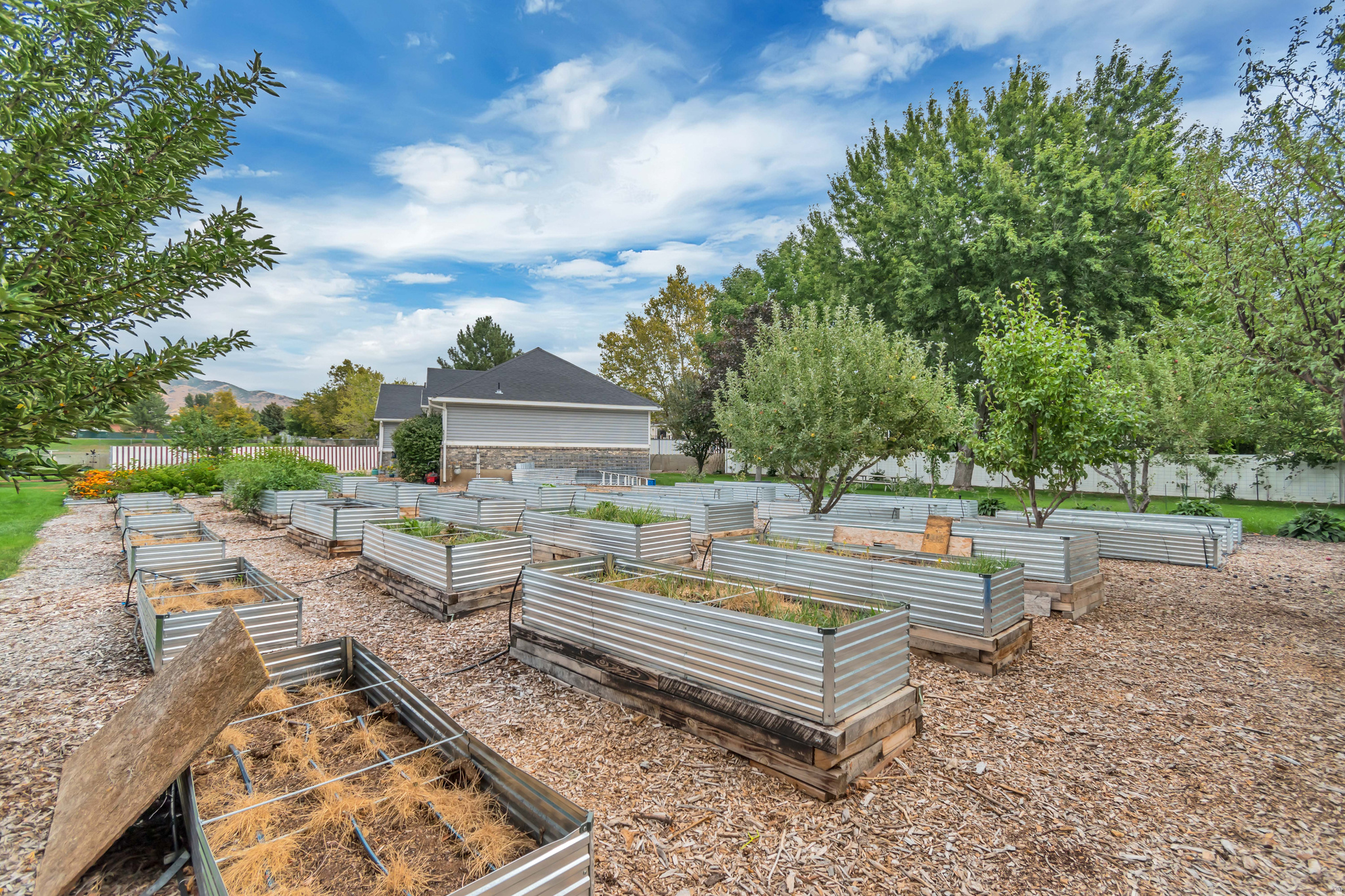 COUNTRY MANOR ESTATE - Residential