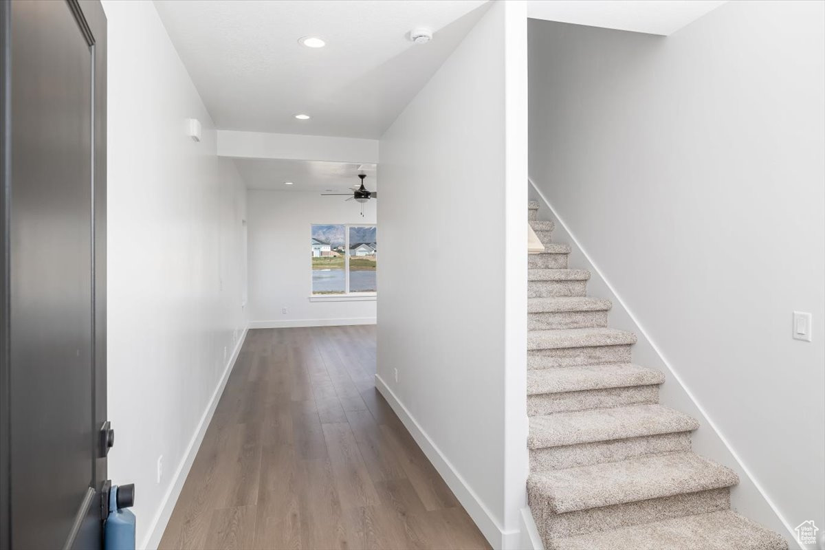 WINSTON PARK - Residential