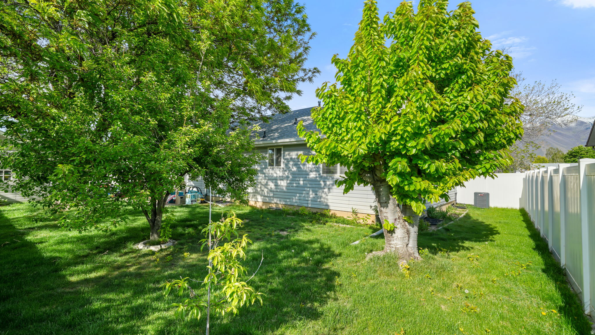 COUNTRY COVE - Residential