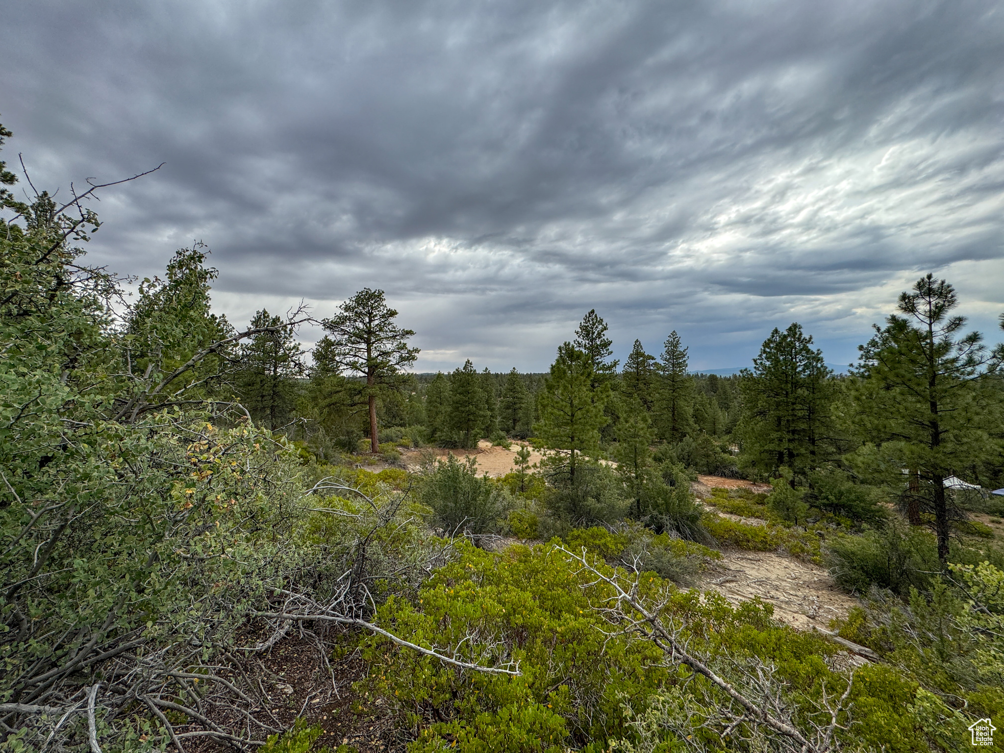 LITTLE PONDEROSA - Land