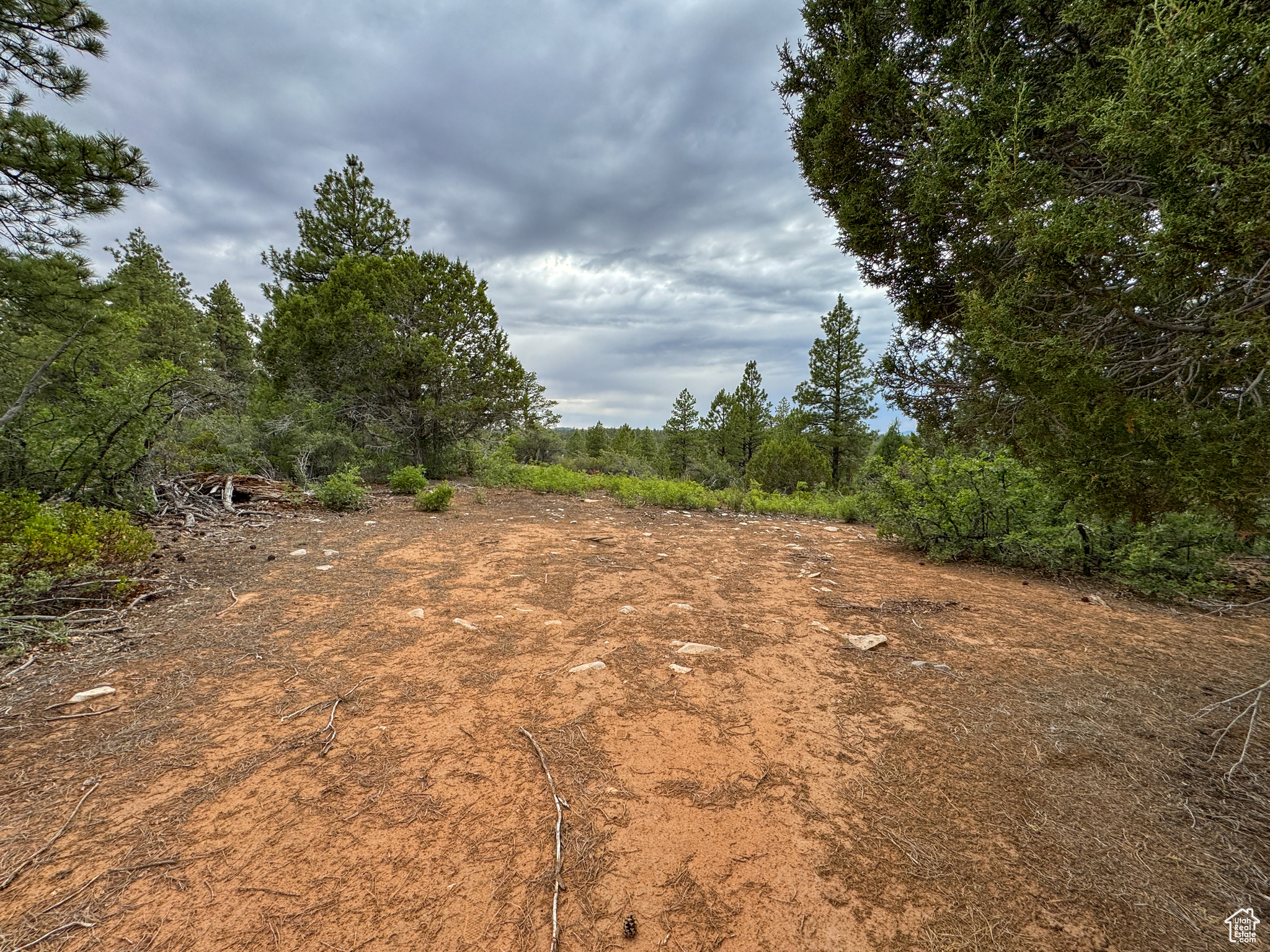 LITTLE PONDEROSA - Land