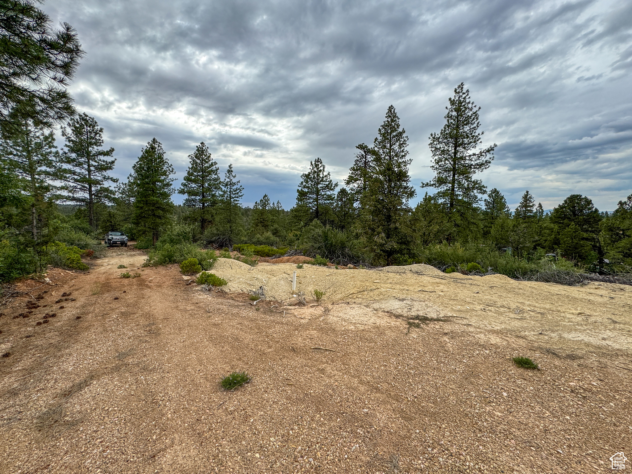 LITTLE PONDEROSA - Land