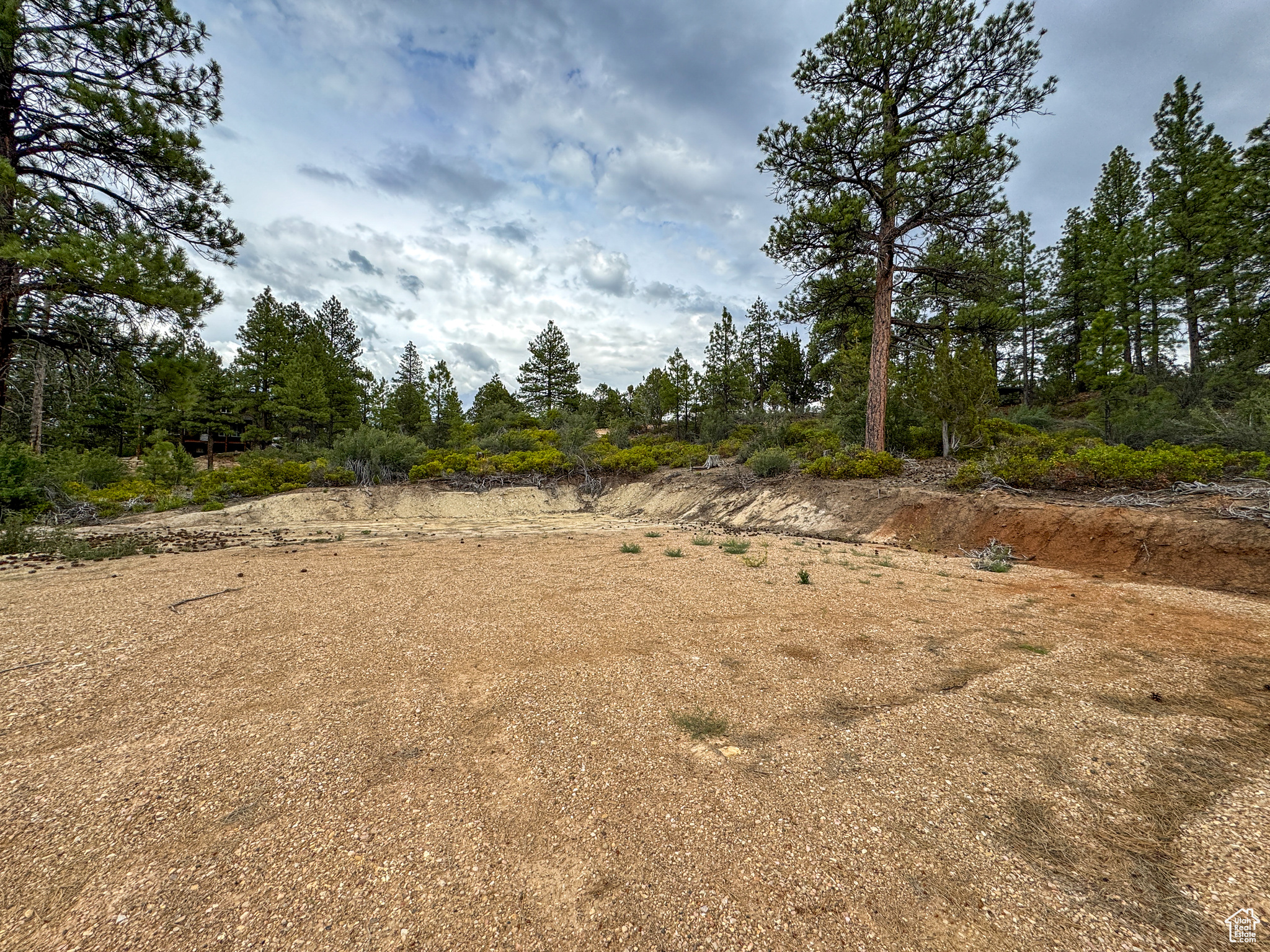 LITTLE PONDEROSA - Land