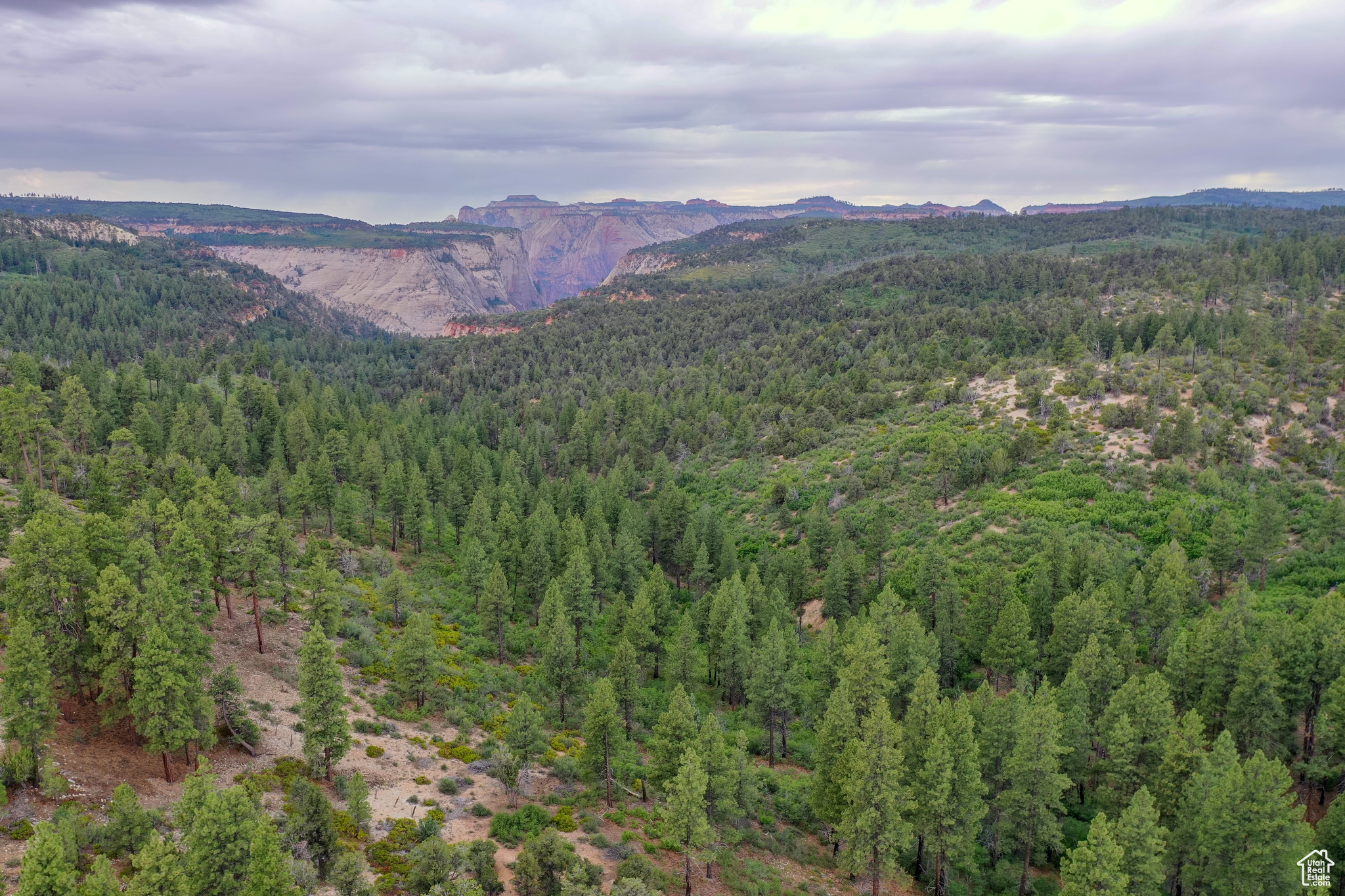 LITTLE PONDEROSA - Land