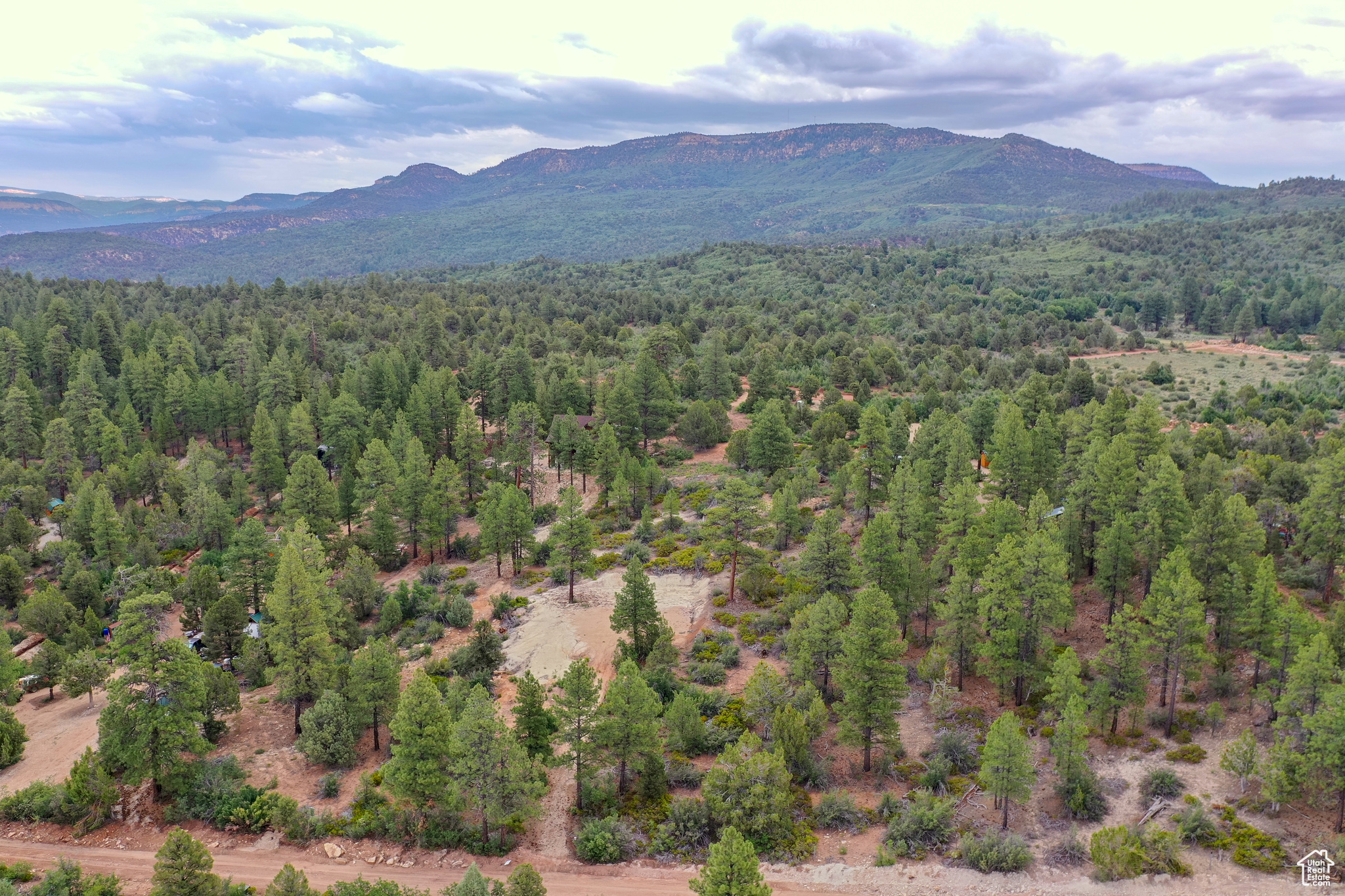 LITTLE PONDEROSA - Land