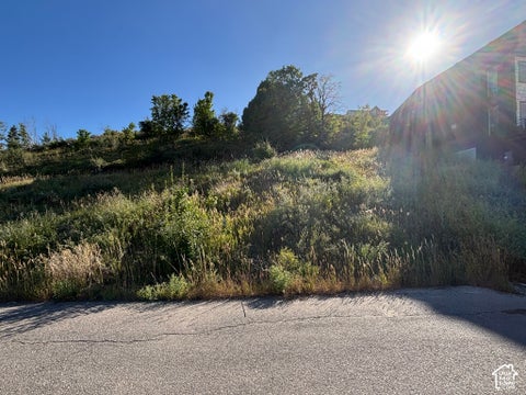 Vacant Land For Sale - 657 N Lochwood Vw #85<br/> Garden City, UT 84028