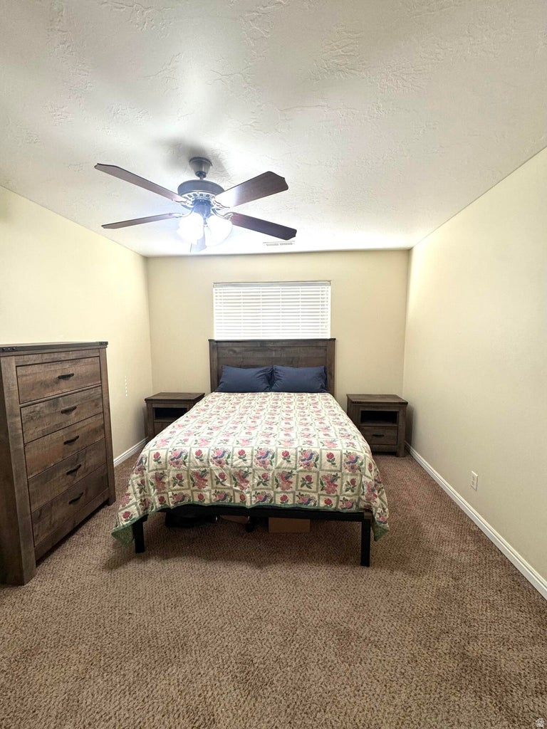 CEDAR WILLOWS - Residential