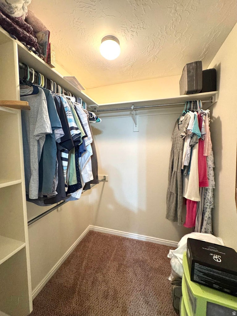 CEDAR WILLOWS - Residential