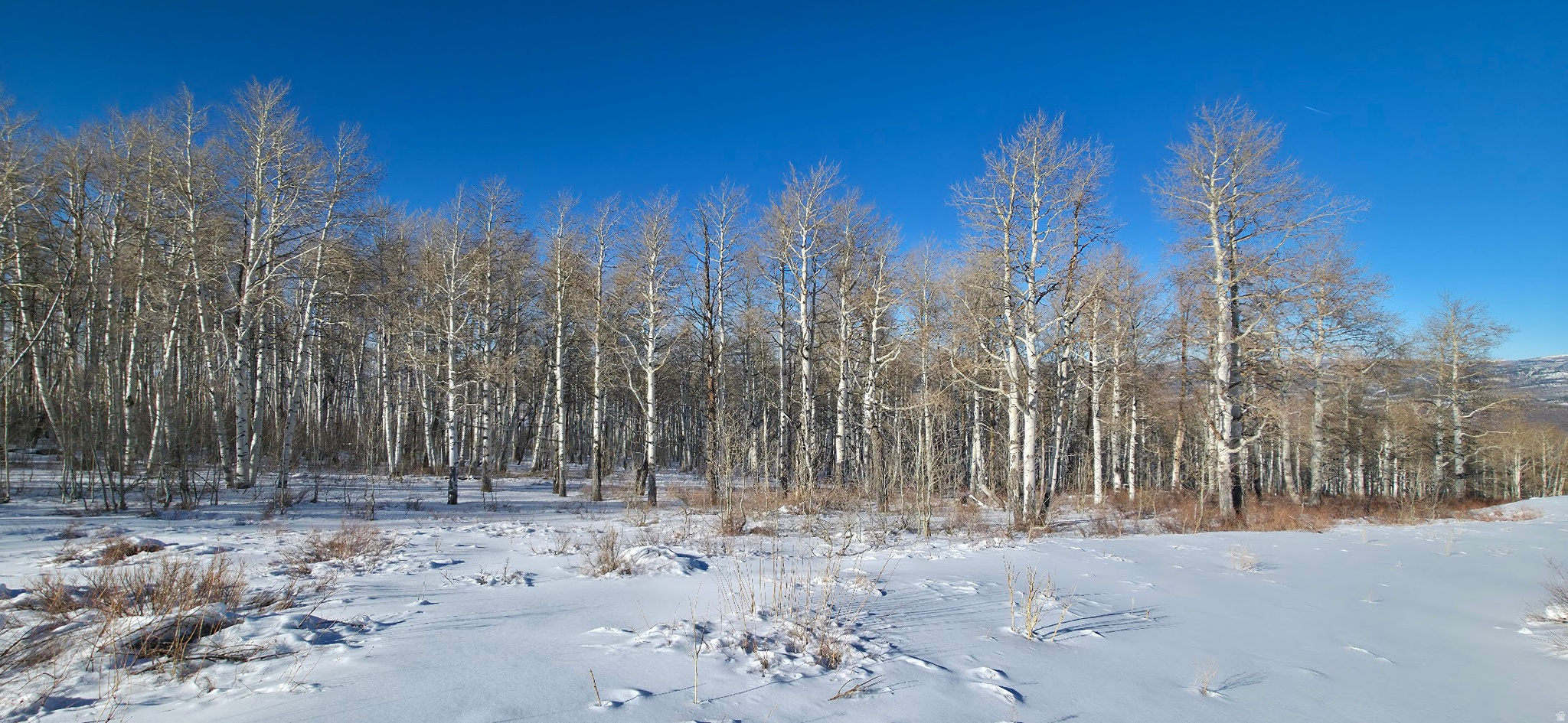 SOLDIER SUMMIT ESTATES - Land