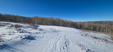 Tiny photo for #D45, Spanish Fork, UT 84660 (MLS # 2130881)