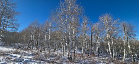 Tiny photo for #D45, Spanish Fork, UT 84660 (MLS # 2130881)