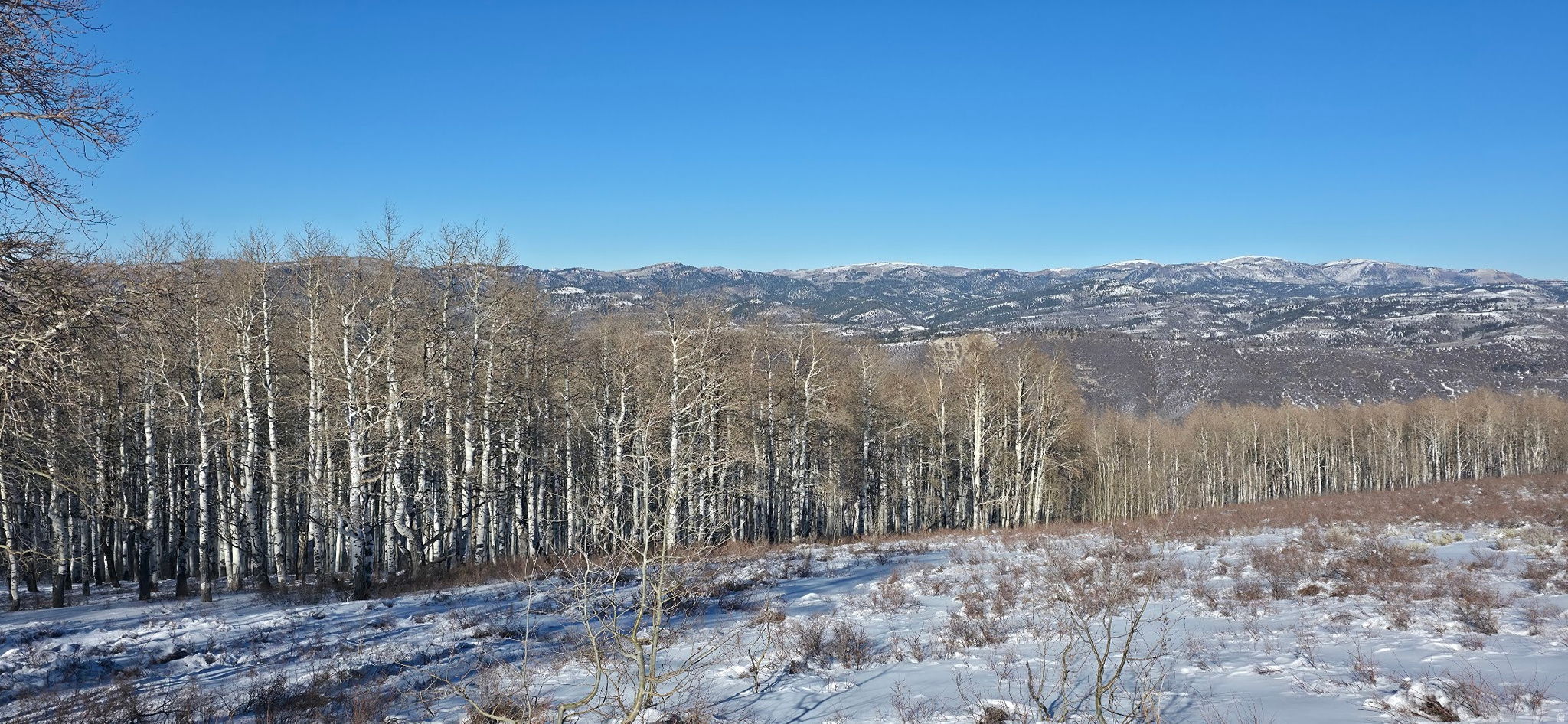 SOLDIER SUMMIT ESTATES - Land