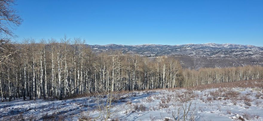 Mountain top views for miles! Landscape has a gradual slope, large pad, Fire Pit center of pad, Quaking Aspens southern and western areas of land. Year round water is connected to freezeless hydrant, 3 1/2 inch power conduit pipe is installed to pad, circular driveway. Plenty of options to place your getaway Cabin/Home or Use for camping until your are ready to build. 20 minutes to lake, Minutes to hunting, ATV rides, hiking, snowmobiling. Square footage figures are provided as a courtesy estimate only and were obtained from Utah county records . Buyer is advised to obtain an independent measurement. LOT GOOGLE PIN: 39.904928, -111.115048