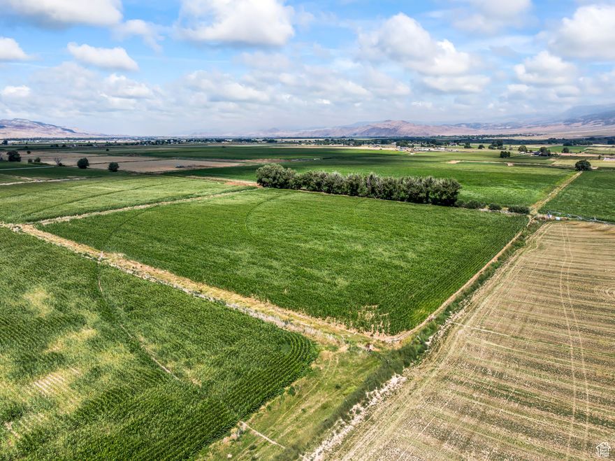 Discover 9.75 acres of prime agricultural land, perfectly suited for farming, ranching, or investment. This productive parcel includes 9 valuable shares of water, ensuring steady irrigation throughout the growing season. You'll appreciate the beautiful mature trees lining the east side, offering natural shade and scenic charm. With fertile soil and a peaceful rural setting, this property offers both function and potential-ideal for expanding your agricultural operation or building your dream homestead. Acreage figures are provided as a courtesy estimate only and were obtained from county records.  Buyer is advised to obtain an independent measurement.