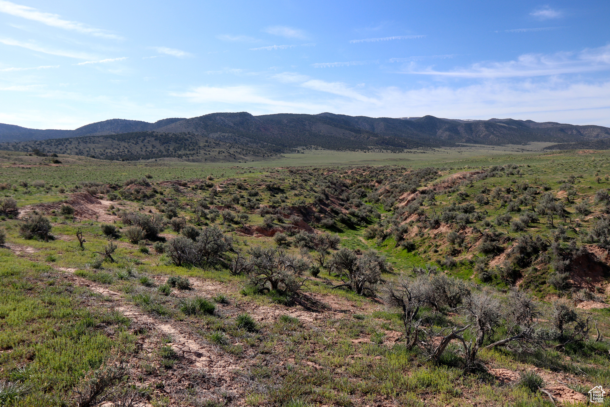 13128 S Red Canyon Rd #4, Levan, Utah image 10