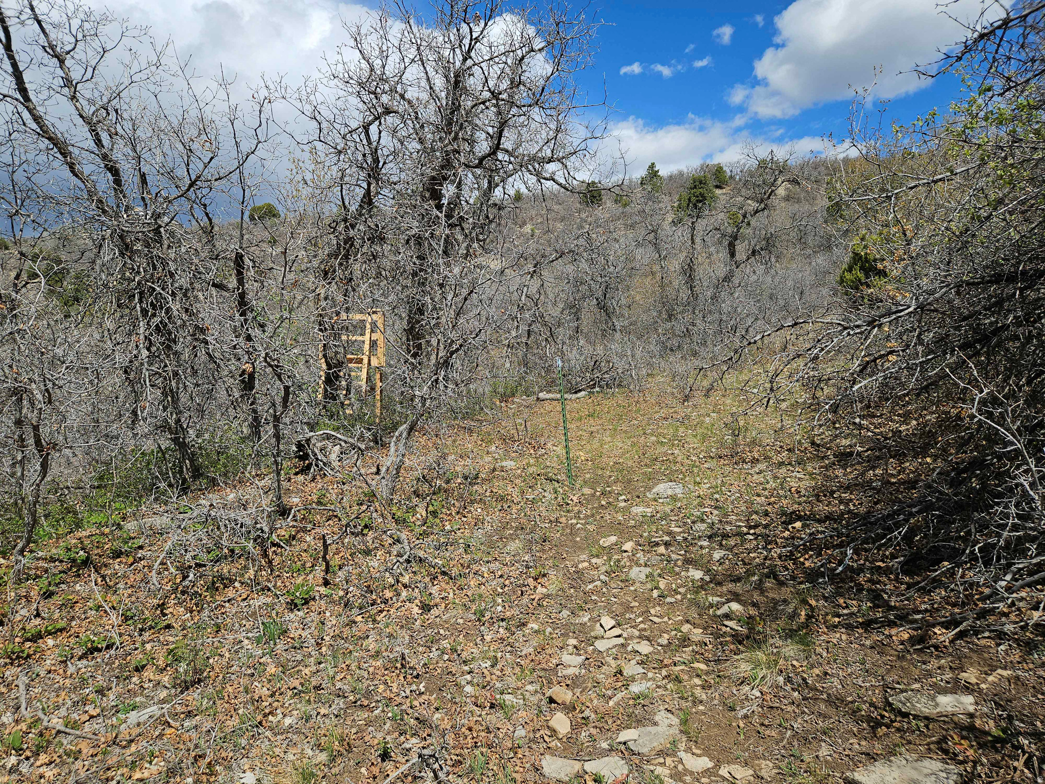 SKYLINE HEIGHTS - Land