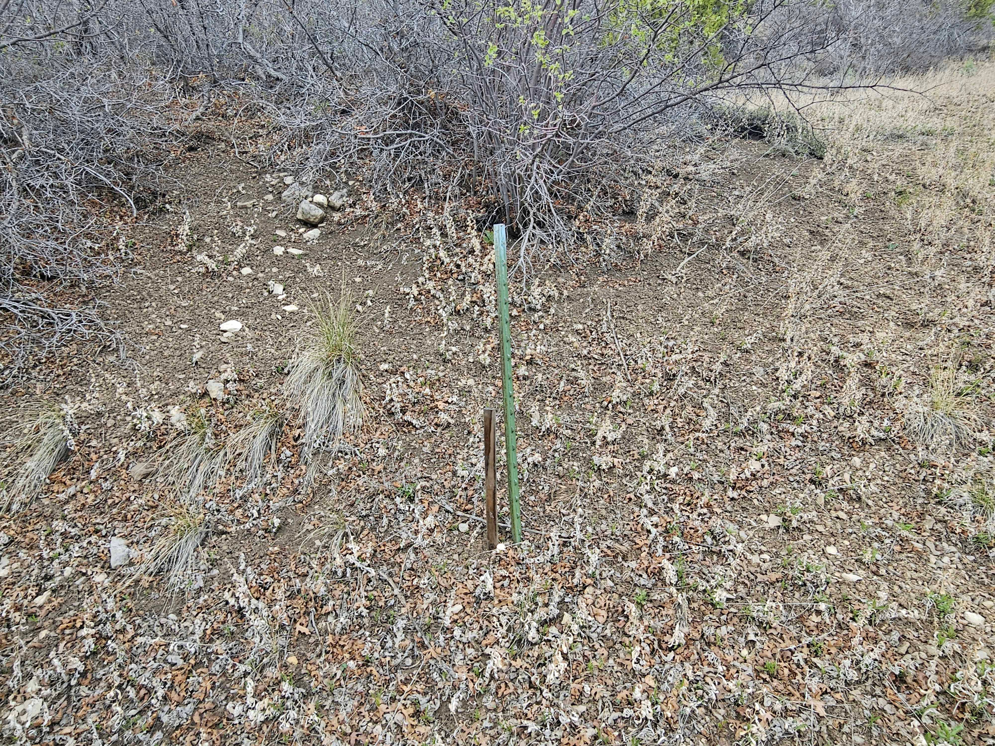 SKYLINE HEIGHTS - Land