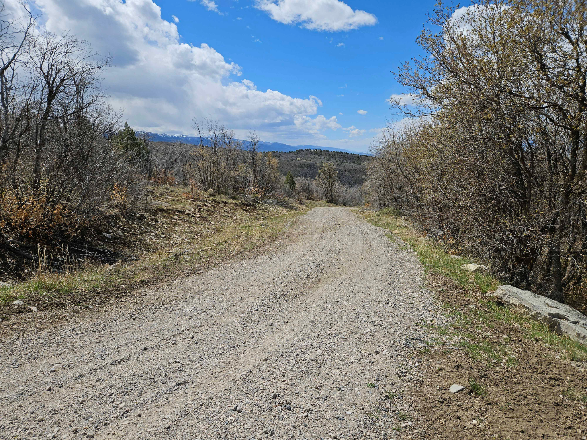 SKYLINE HEIGHTS - Land