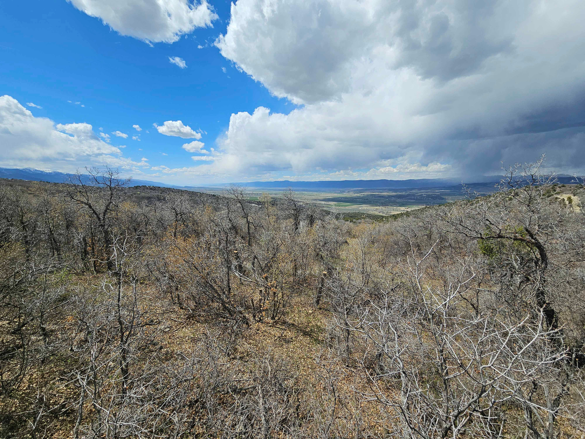 SKYLINE HEIGHTS - Land
