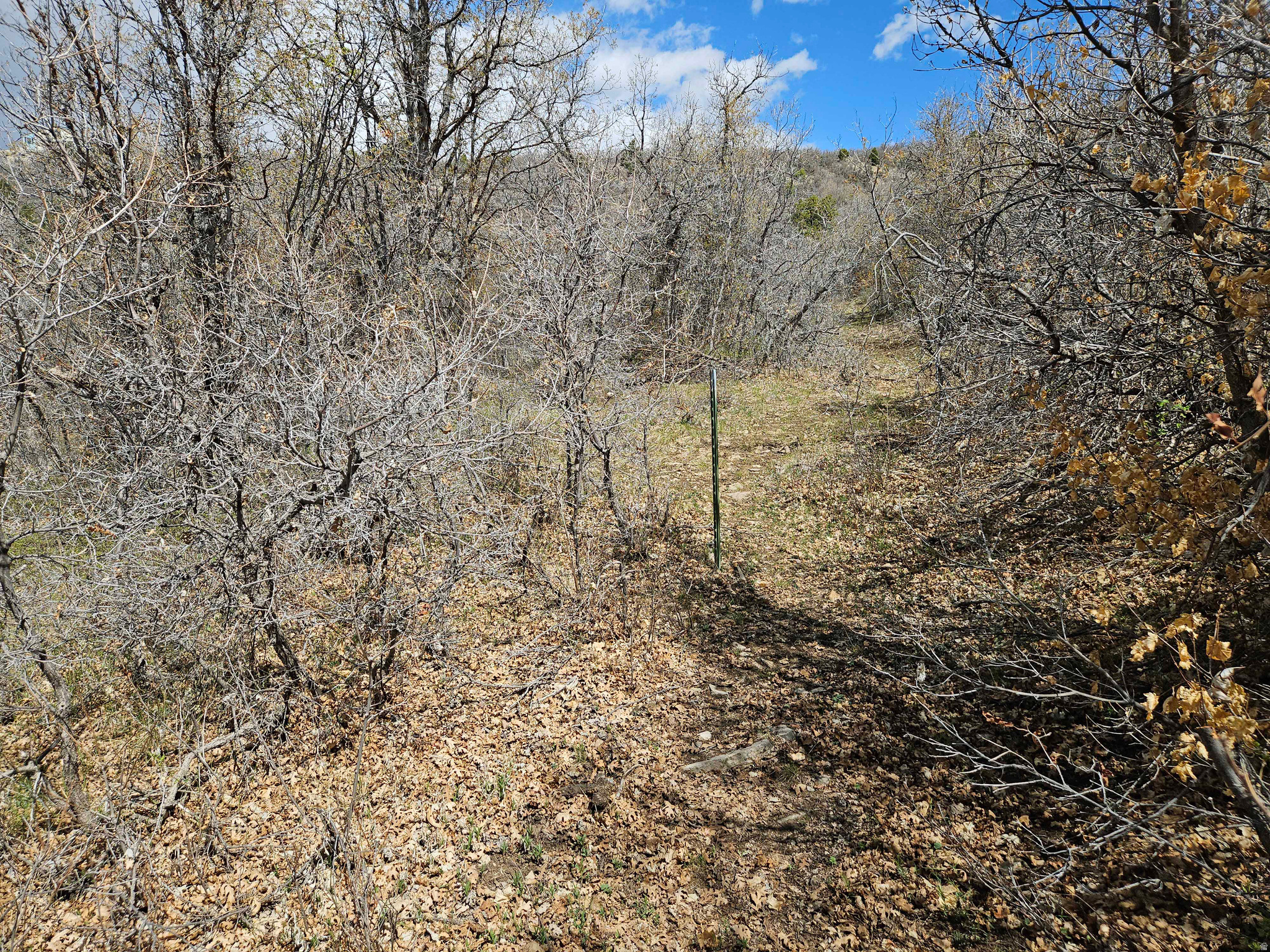 SKYLINE HEIGHTS - Land