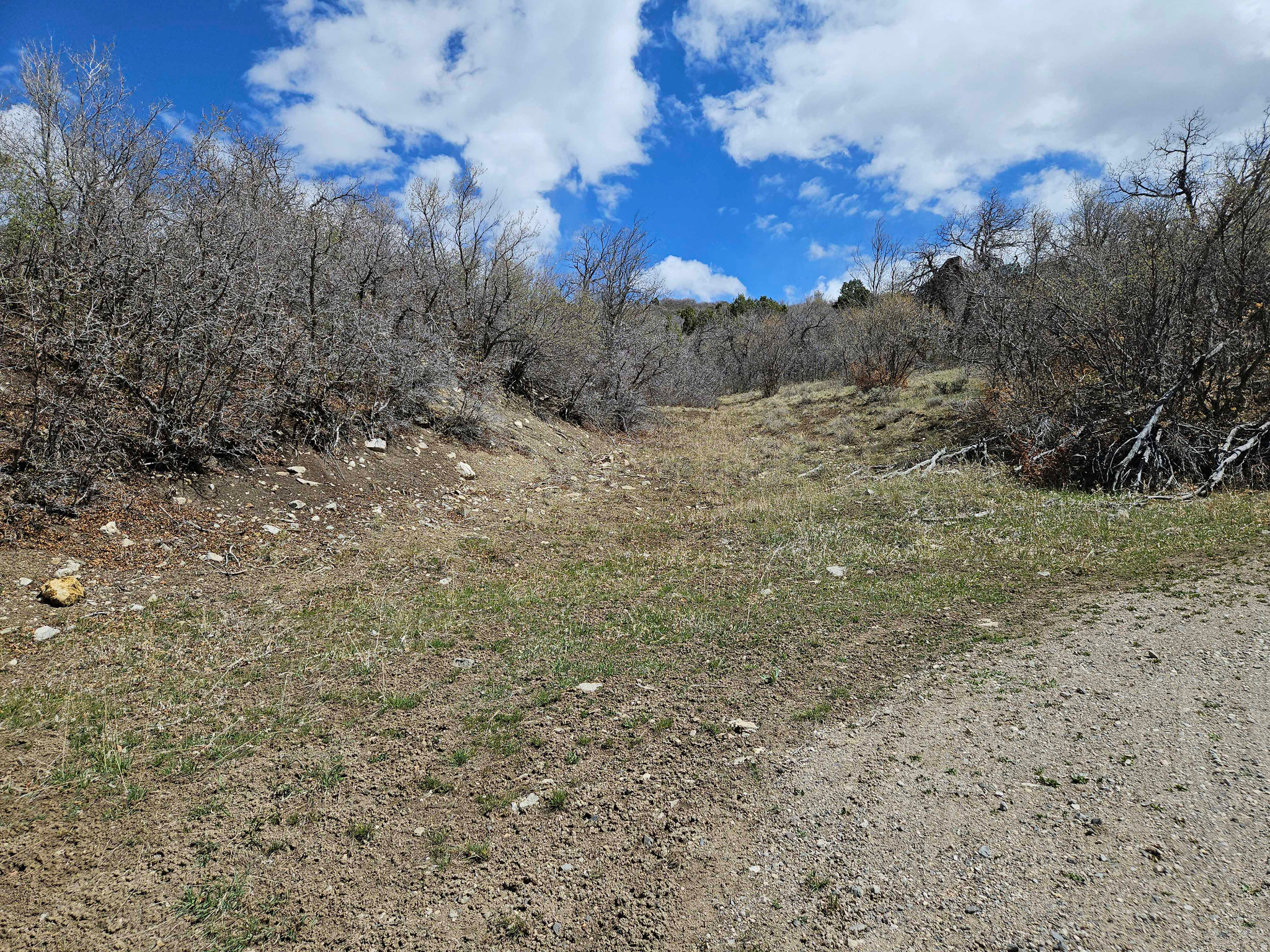 SKYLINE HEIGHTS - Land