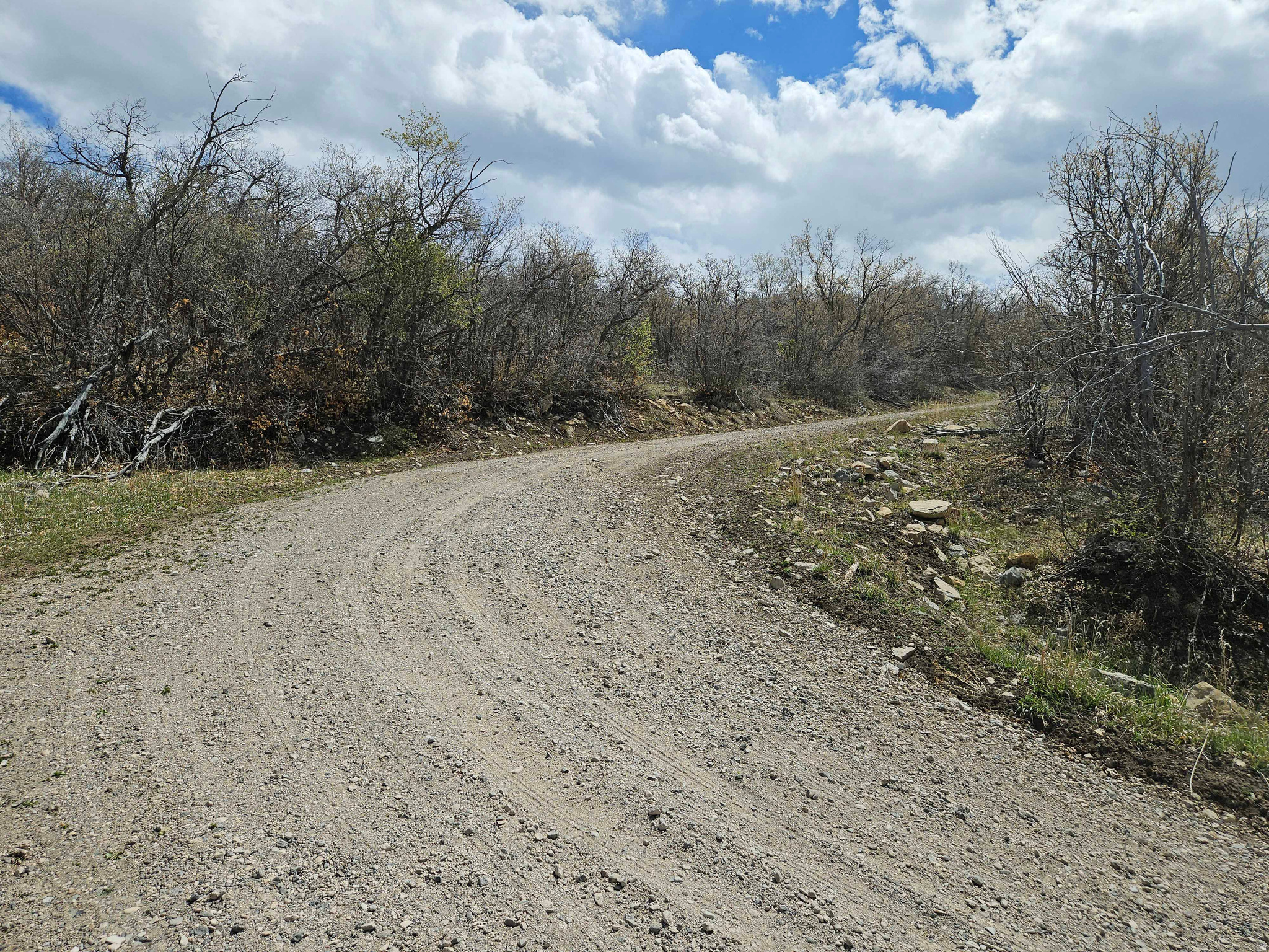 SKYLINE HEIGHTS - Land