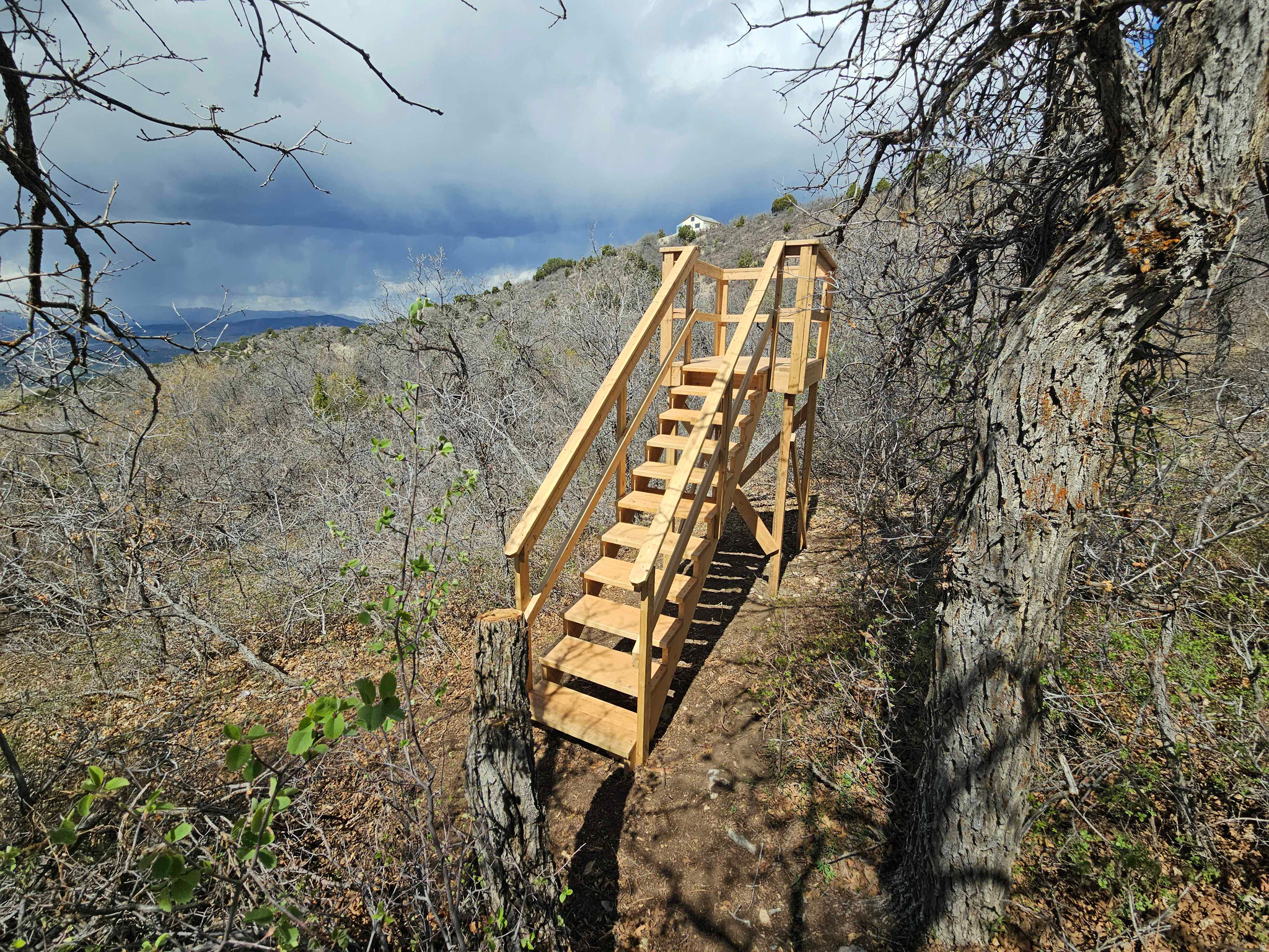 SKYLINE HEIGHTS - Land