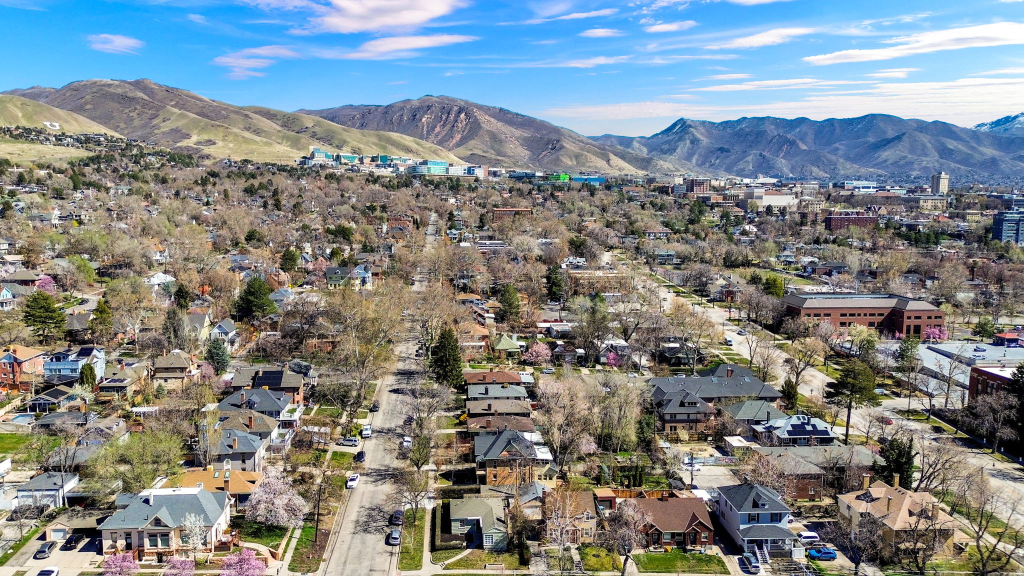 AVENUES - Residential