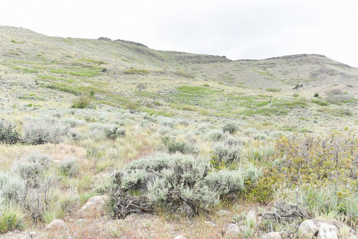 LOOKOUT RIDGE - Land