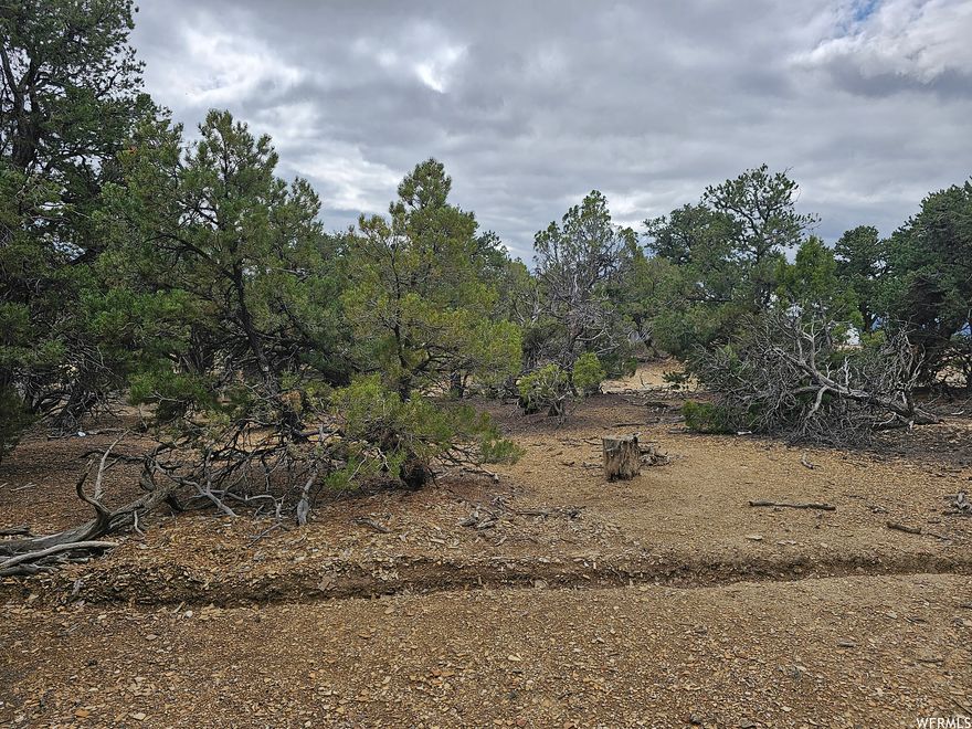 Price reduced!  Seller must sacrifice! 10 wooded acres off grid! This is a beautiful piece of land with beautiful views!!  It overlooks the Strawberry River Valley!  Well and septic at buyer's expense.  Power is not close by. Generator and solar are recommended.  Or just come self-contained!  This lot is amazing for camping, and if you do not mind winter, it is beautiful in the winter!!  Crisp, clear mountain air year 'round and an abundance of wildlife! Enjoy miles of off road adventure!