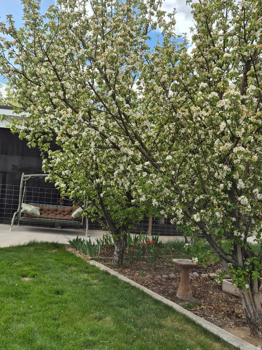 ROCK POINT SUBDIVISION - Residential