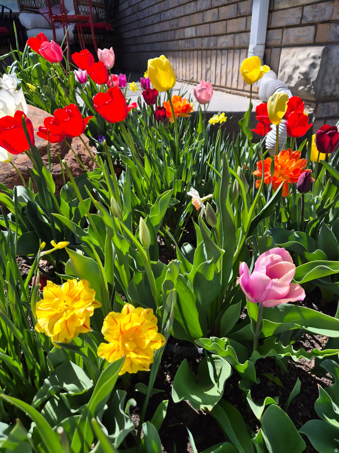 ROCK POINT SUBDIVISION - Residential