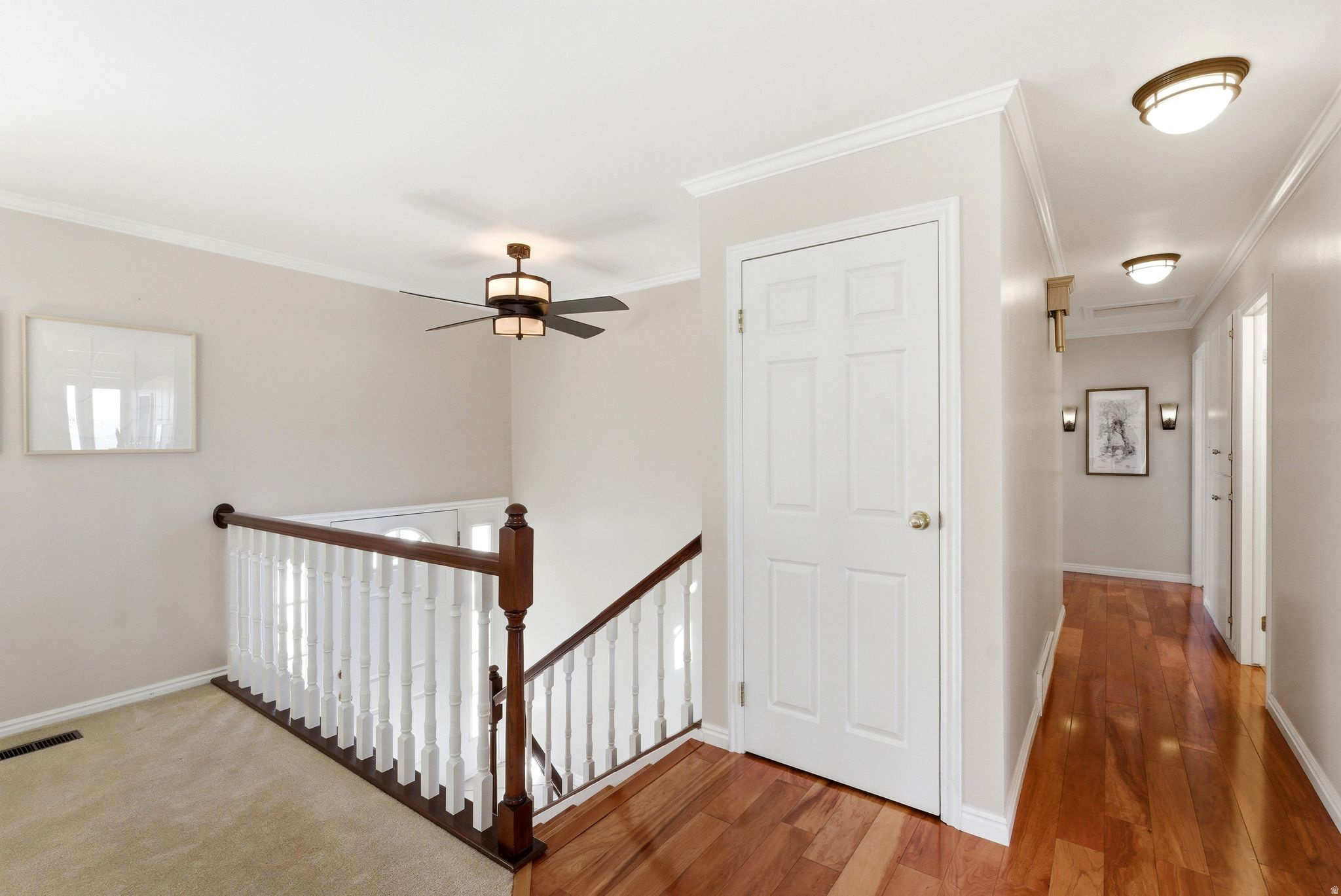 LAZY BAR - Residential