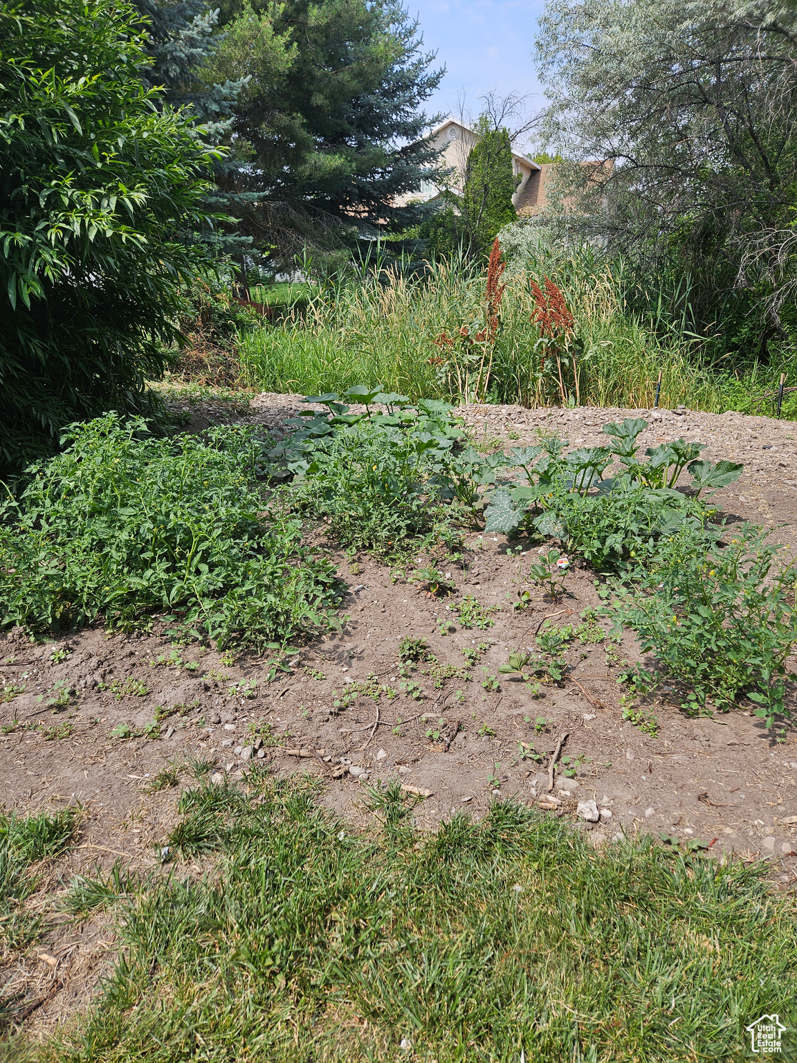 223 N 2520, Provo, Utah image 44
