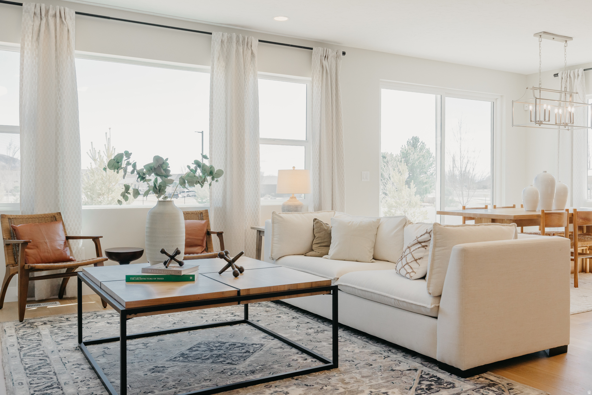 ANTELOPE MEADOWS - Residential