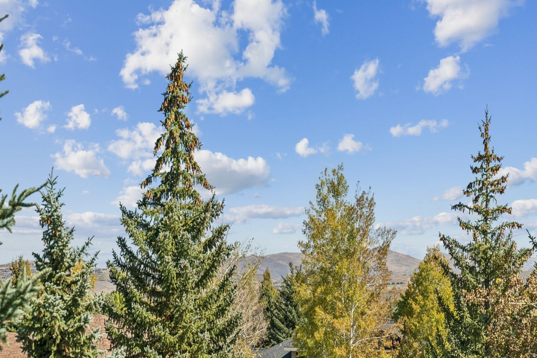 WILLOW DRAW COTTAGES AT SUN PEAK - Residential