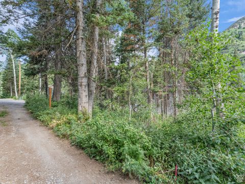Tiny photo for 9281 E FOX HAVEN LN, Brighton, UT 84121 (MLS # 2100107)