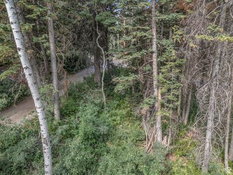Tiny photo for 9281 E FOX HAVEN LN, Brighton, UT 84121 (MLS # 2100107)