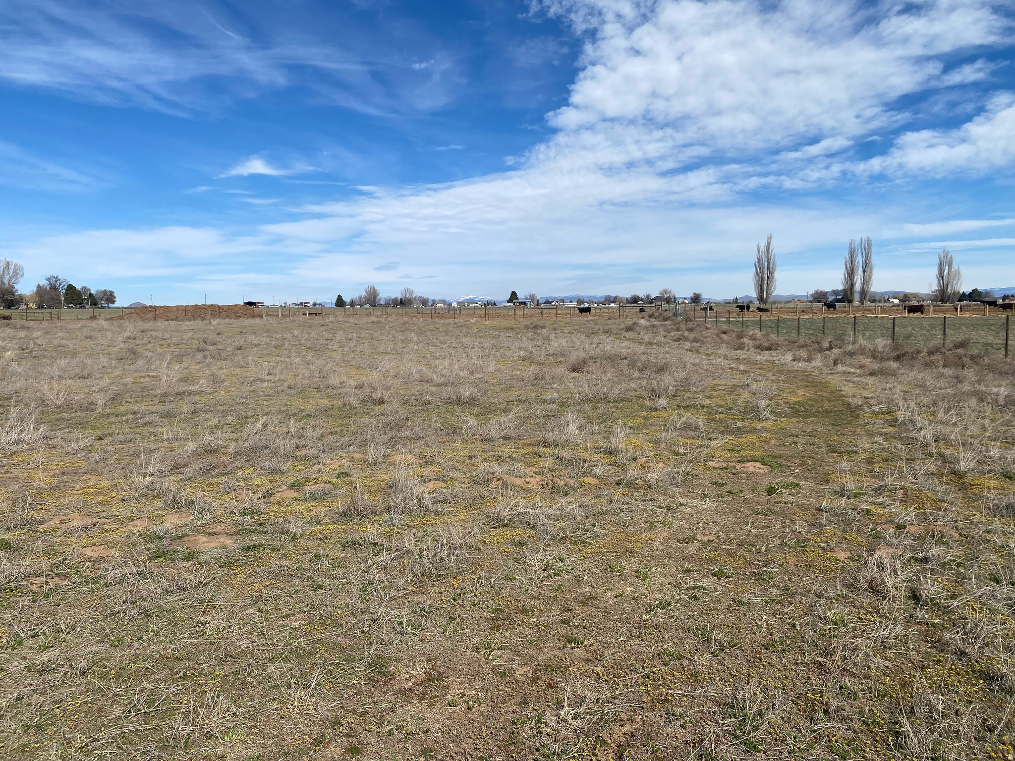 JOHN KUSTERIE SUBDIVISION - Land