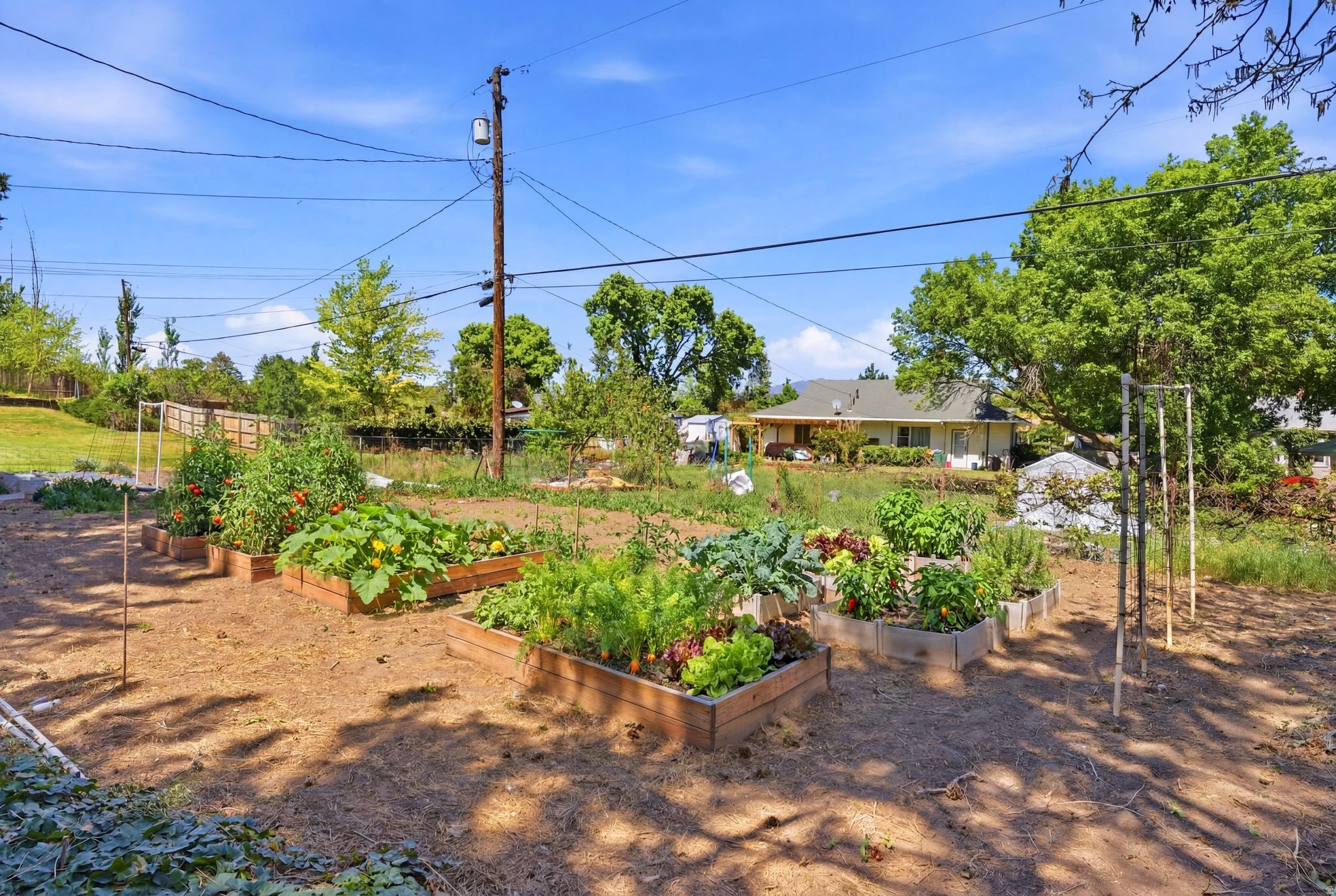 MURRAY HILL GARDENS - Residential