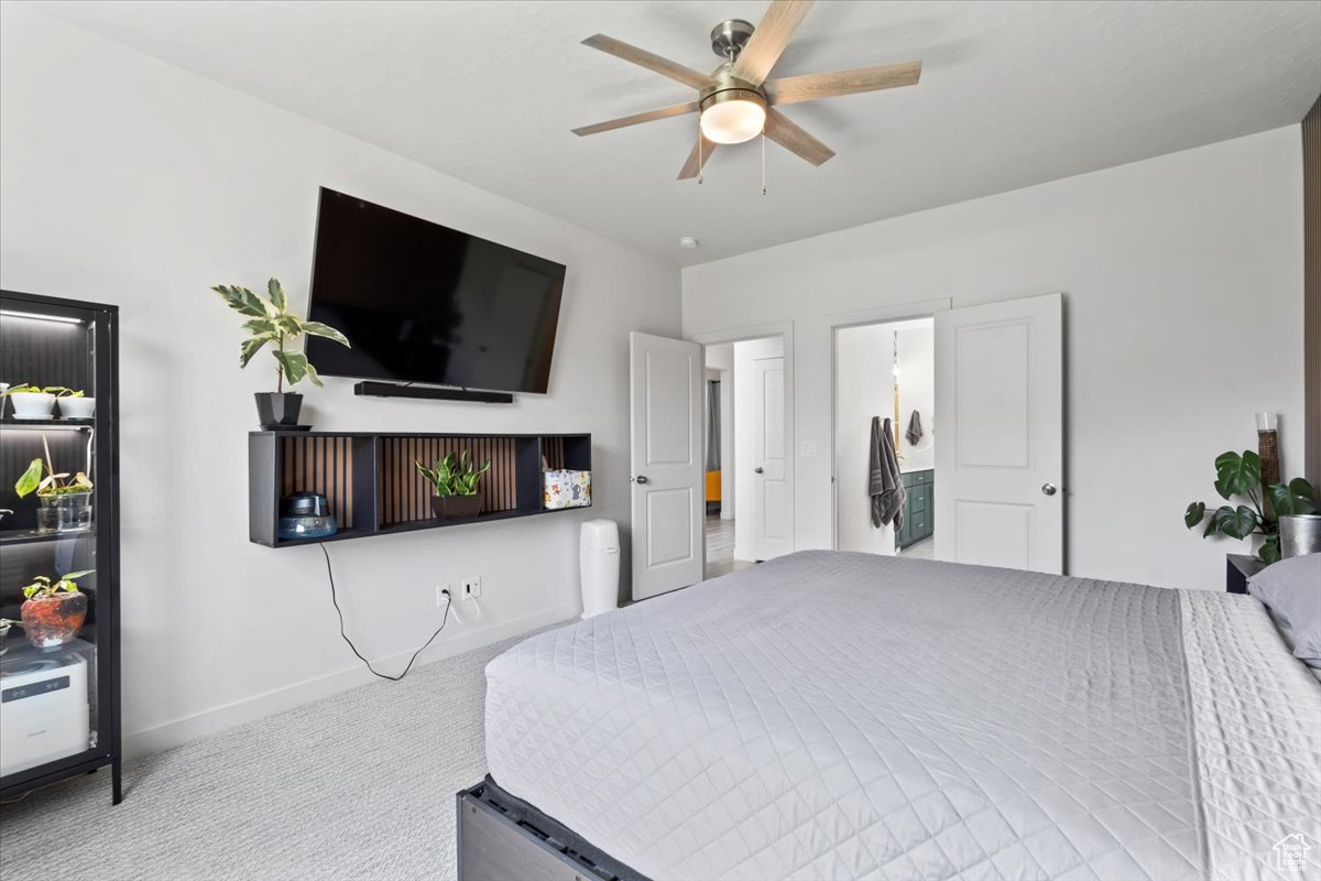 SHAMROCK VILLAGE - Residential
