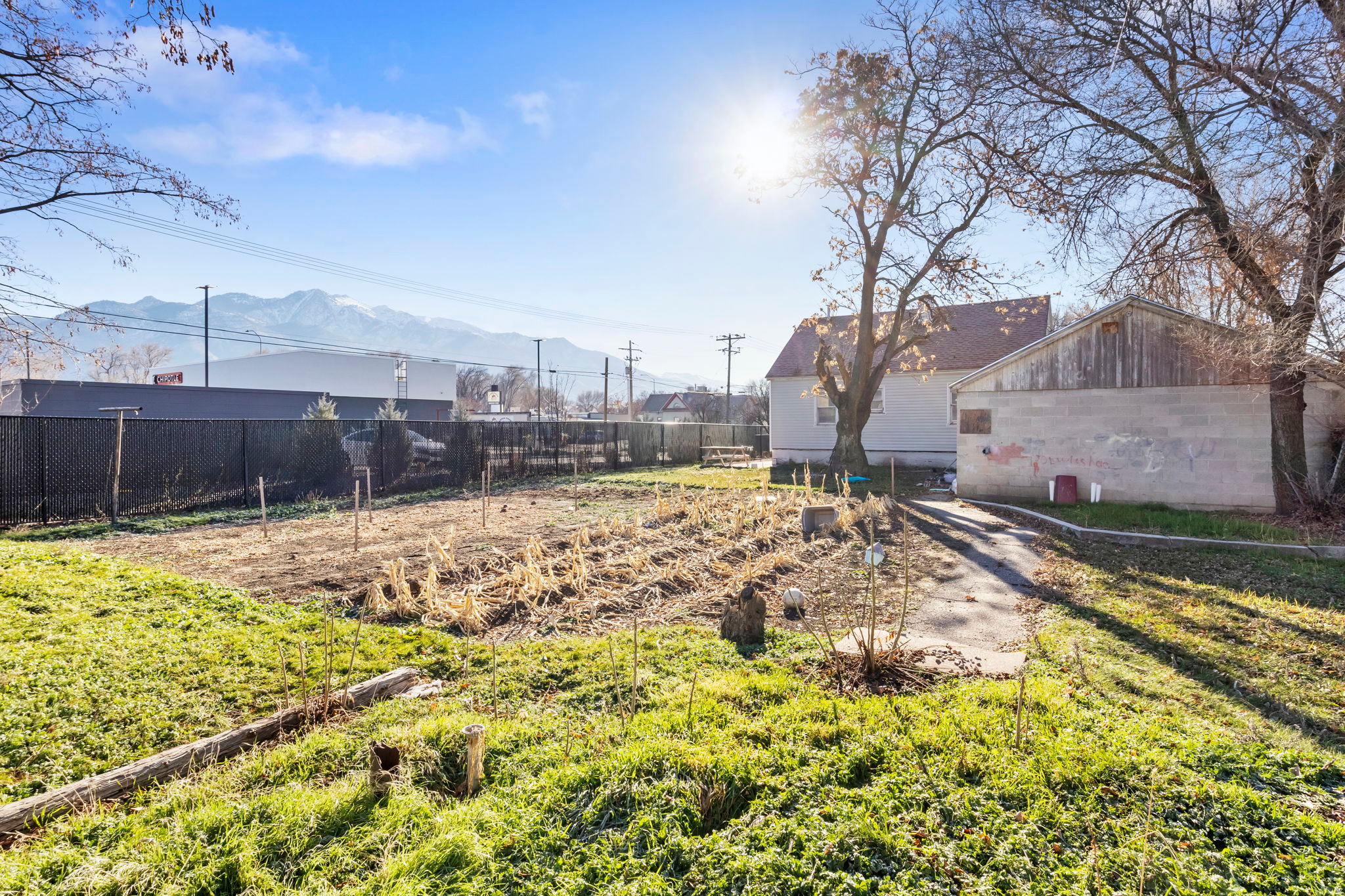 Main image without alt text