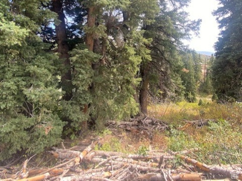 TOLLGATE CANYON - Land