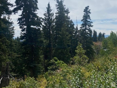 TOLLGATE CANYON - Land