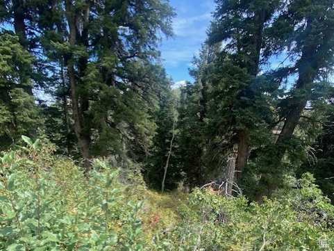 TOLLGATE CANYON - Land