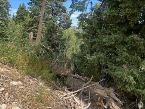 TOLLGATE CANYON - Land