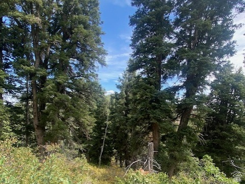 TOLLGATE CANYON - Land